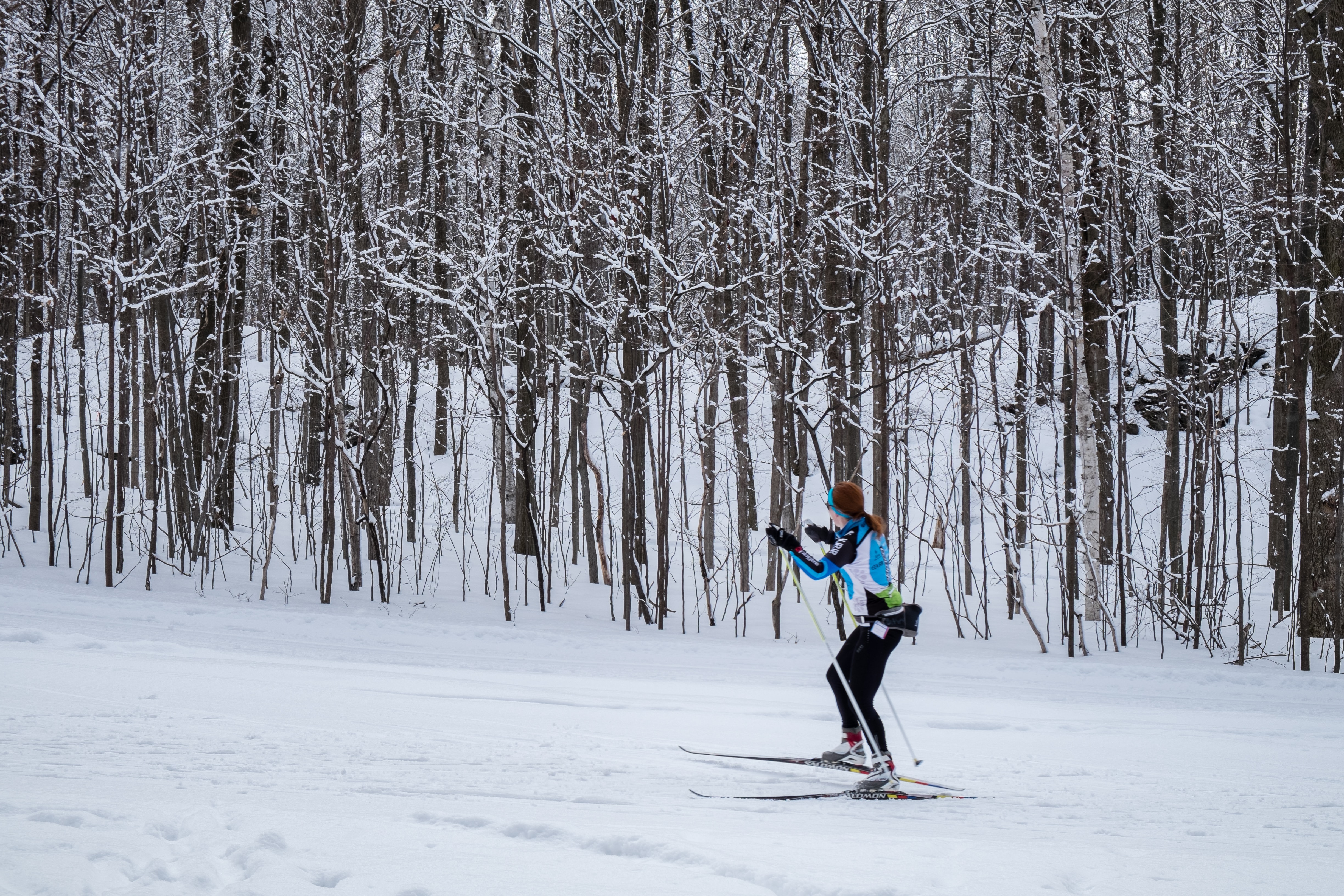 Skier skiing in forest