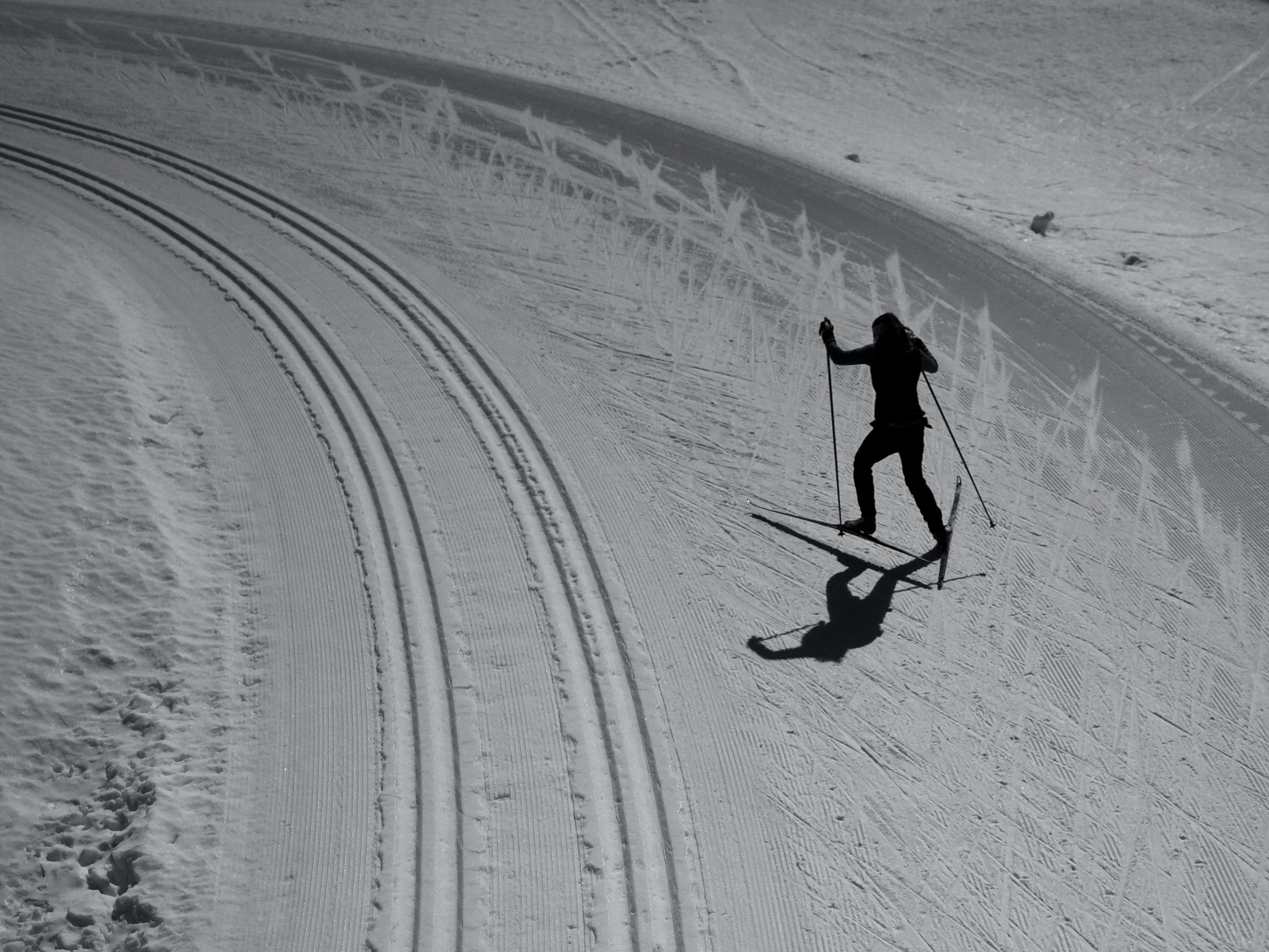 Skier skiing on path