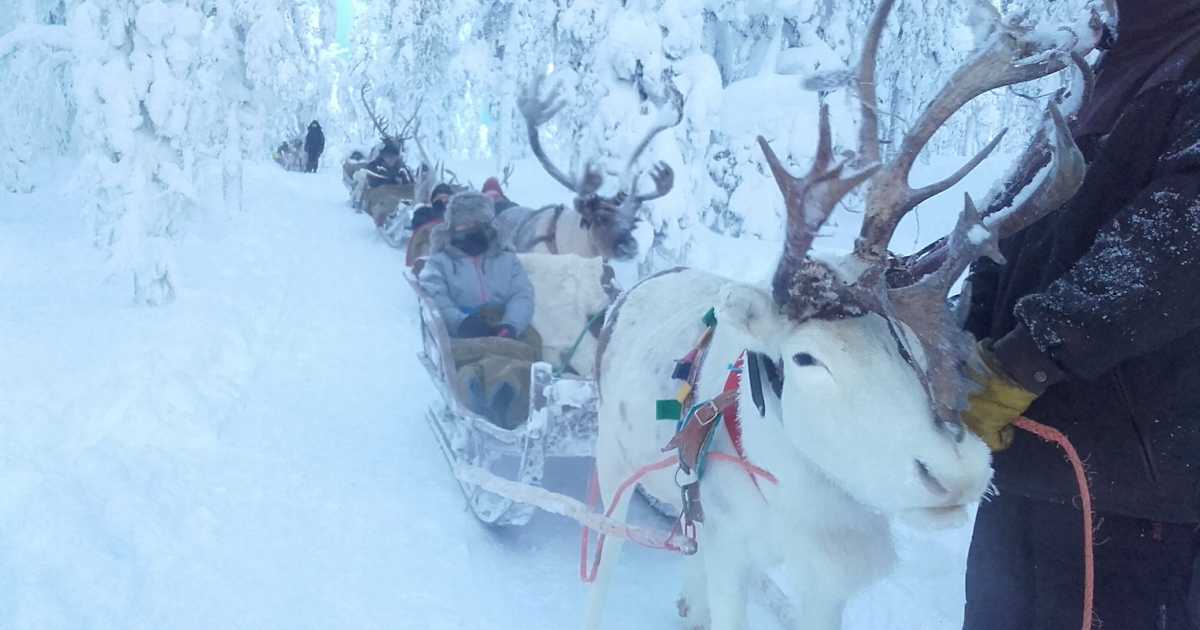 Levin Sammuntupa ja Porotilapalvelut