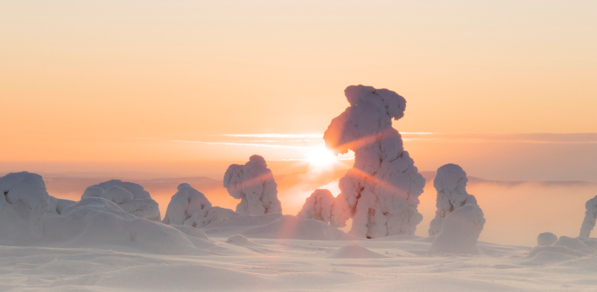 CAMP Kitchen & Bar Pyhä