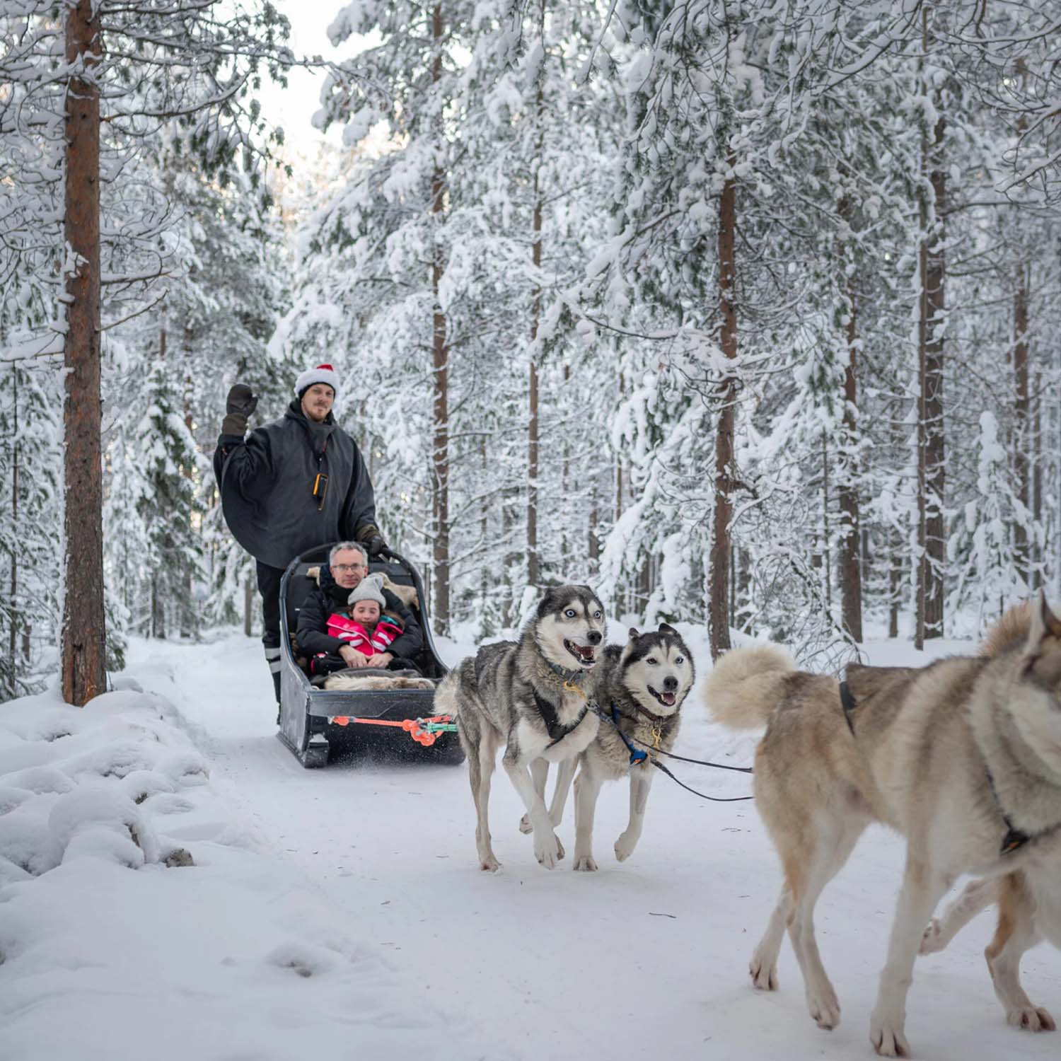 Arctic Circle Husky Park