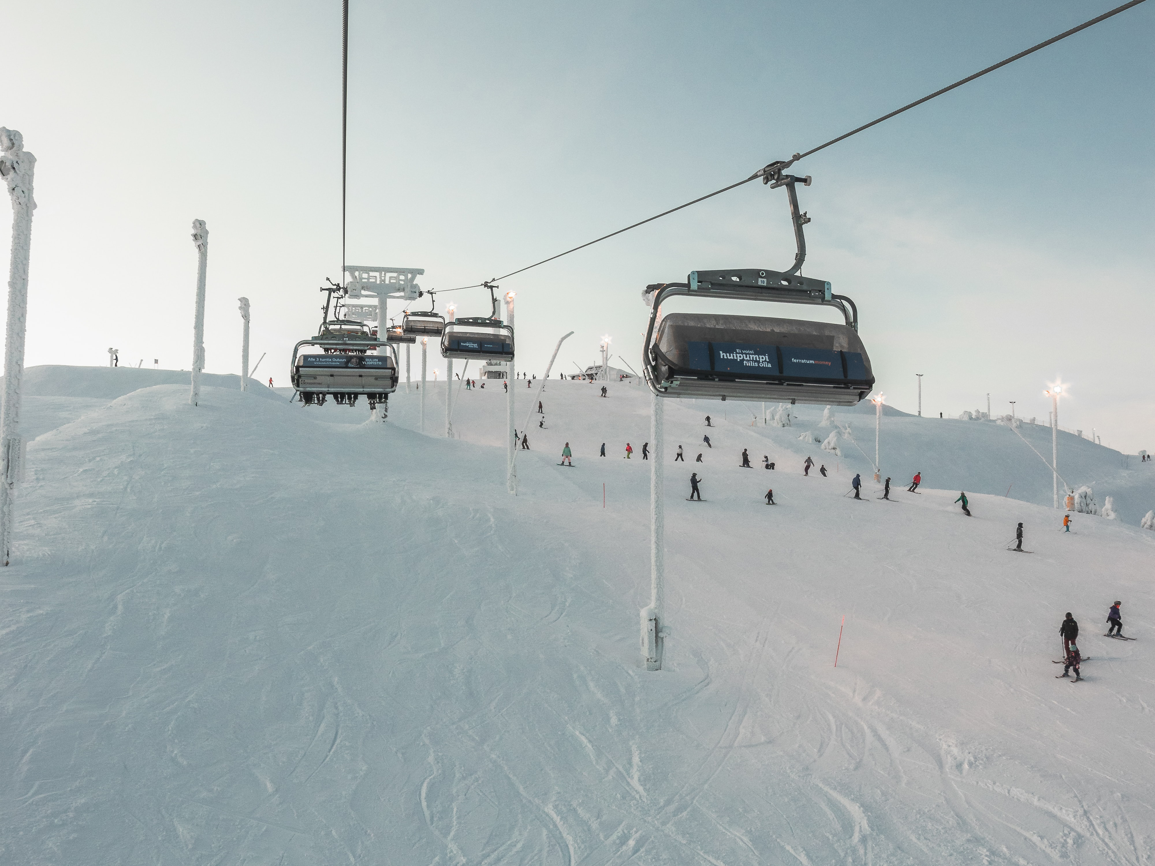 Skier skiing in forest