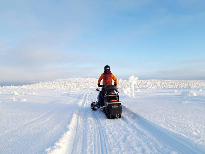 Luontoloma Pro-Safaris