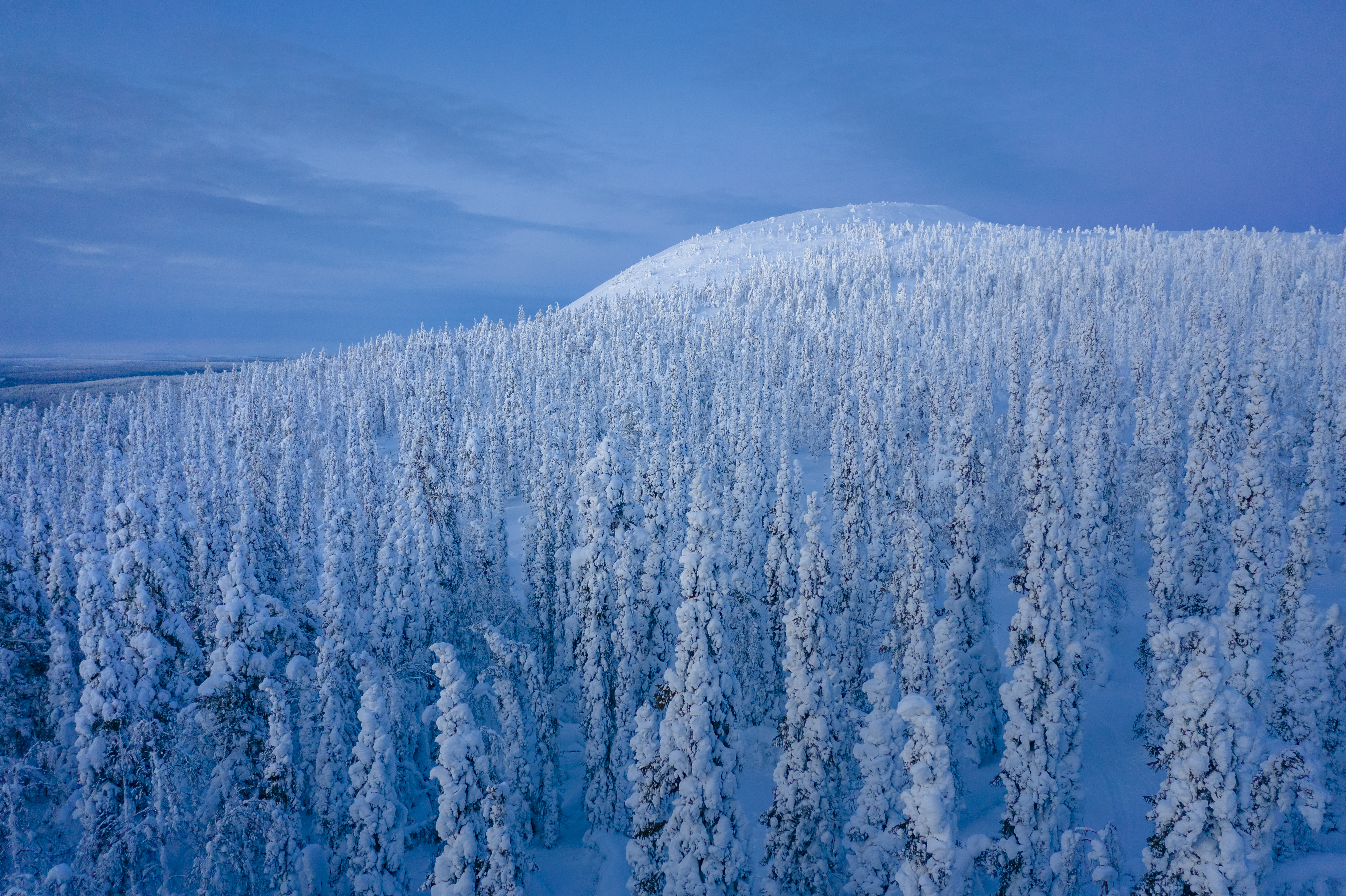 Ravintola Linnansali