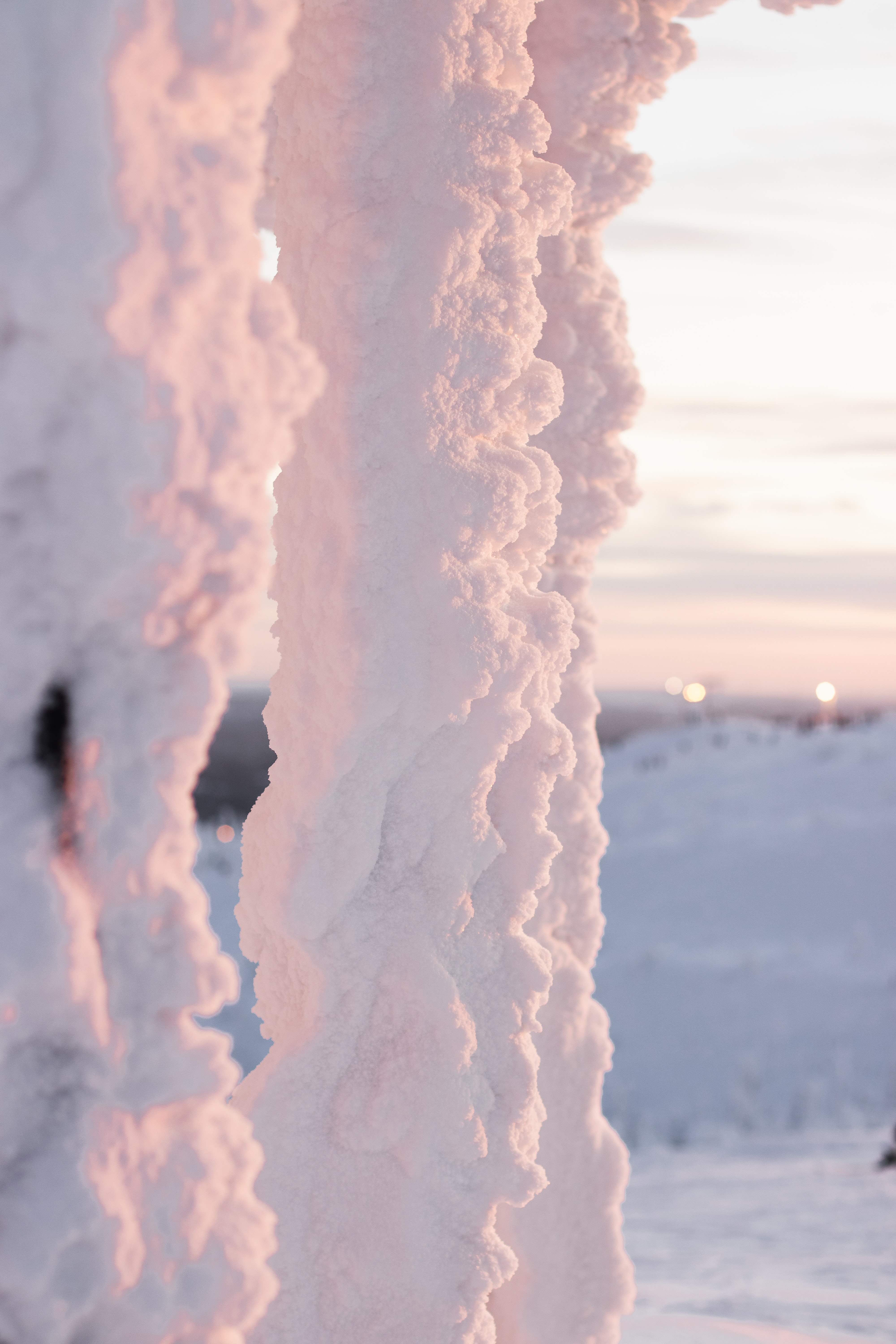 Frosty tree with mountain in the back